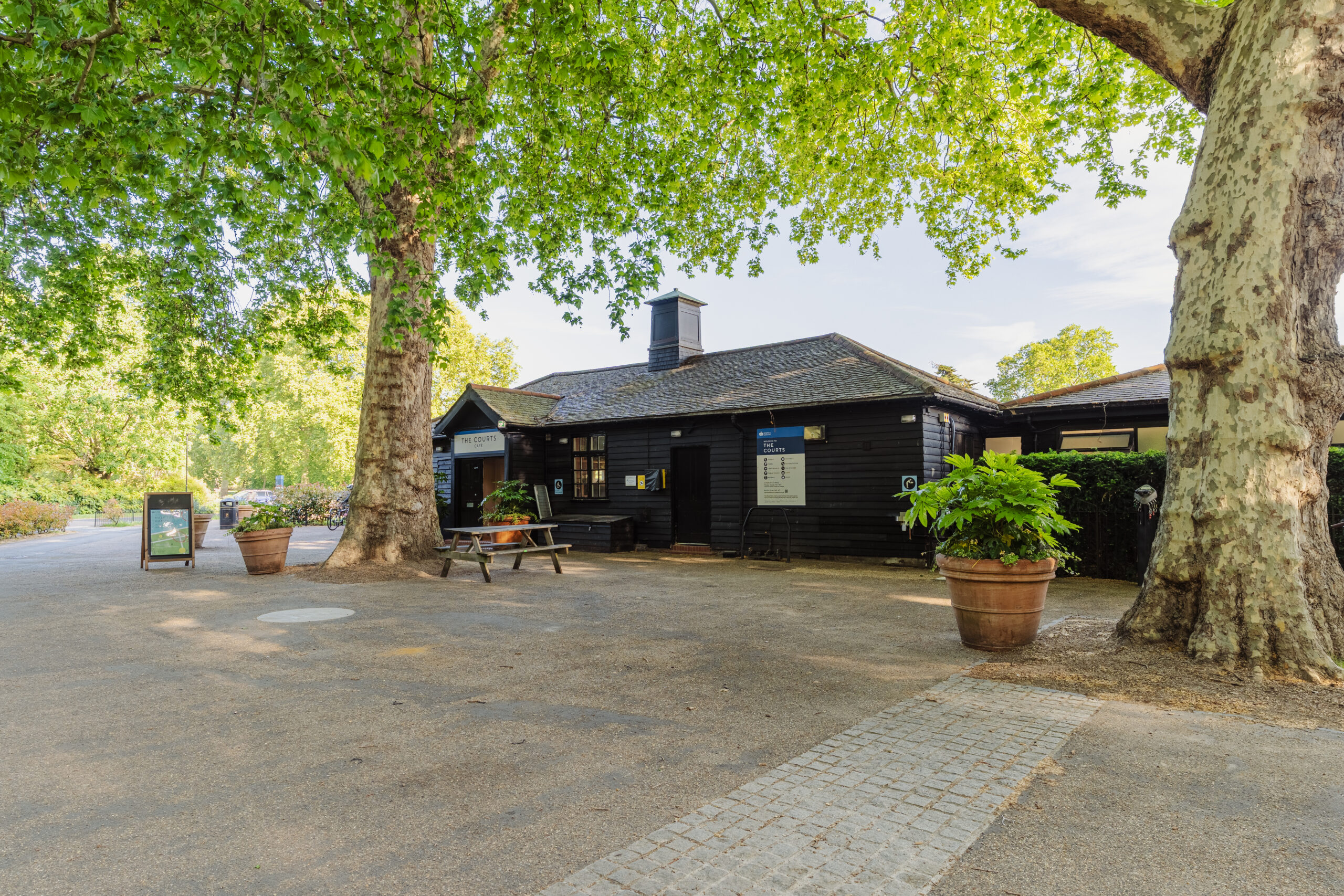 Colicci Courts Cafe by Carter Newlove